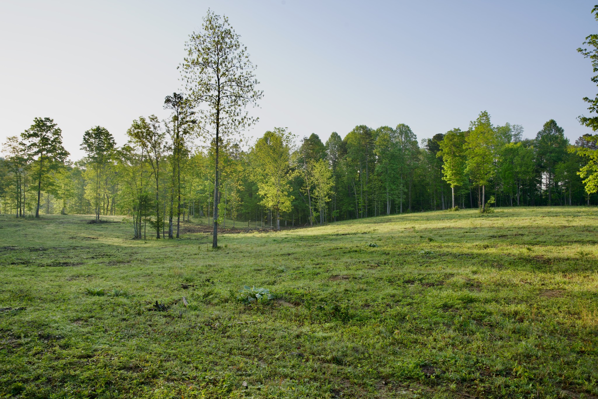 40a Barker Cove Loop Palmer TN 37365