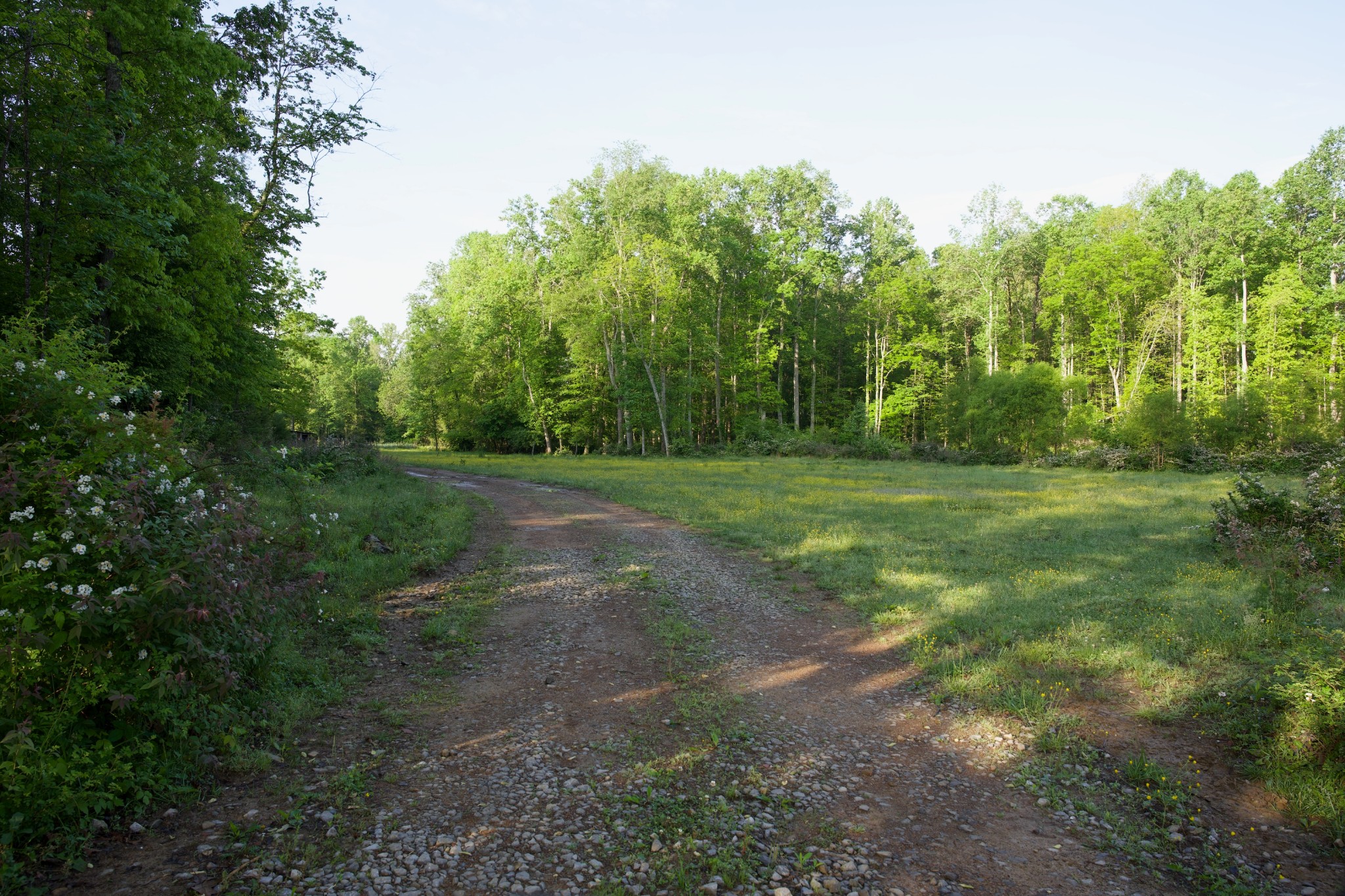 40a Barker Cove Loop Palmer TN 37365