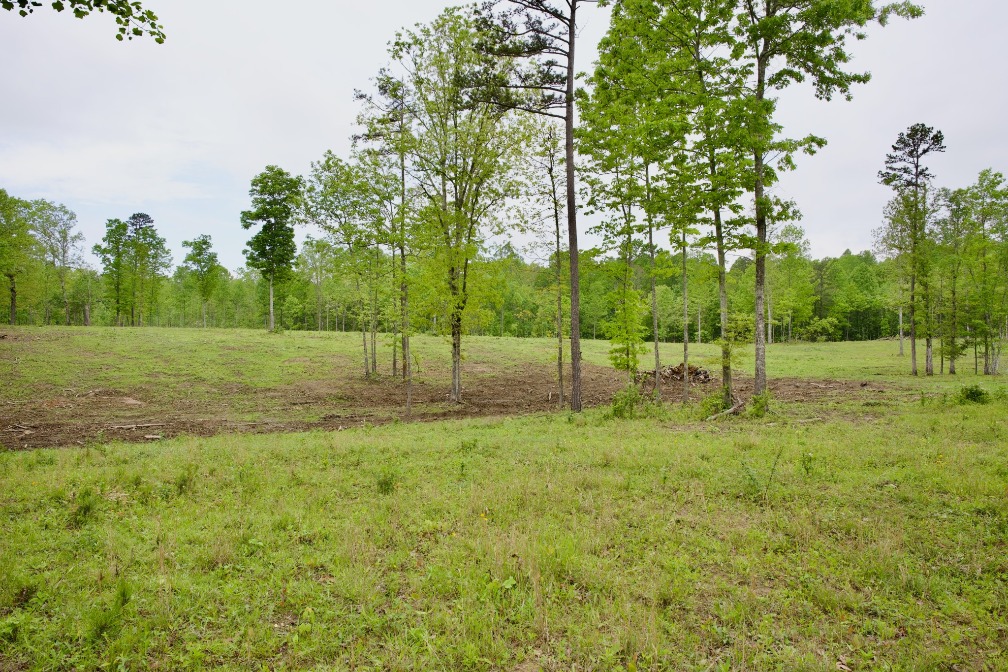 40a Barker Cove Loop Palmer TN 37365