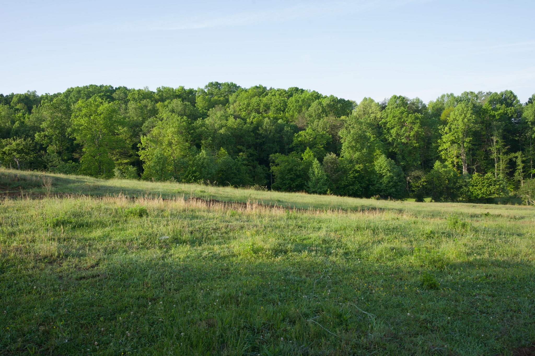 40a Barker Cove Loop Palmer TN 37365
