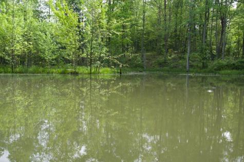 40a Barker Cove Loop Palmer TN 37365