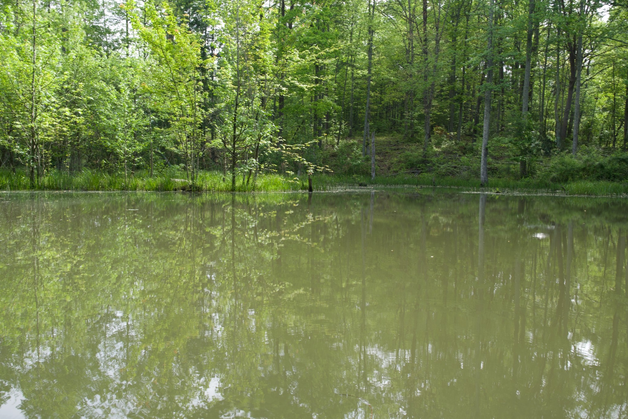 40a Barker Cove Loop Palmer TN 37365