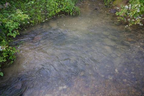 40a Barker Cove Loop Palmer TN 37365