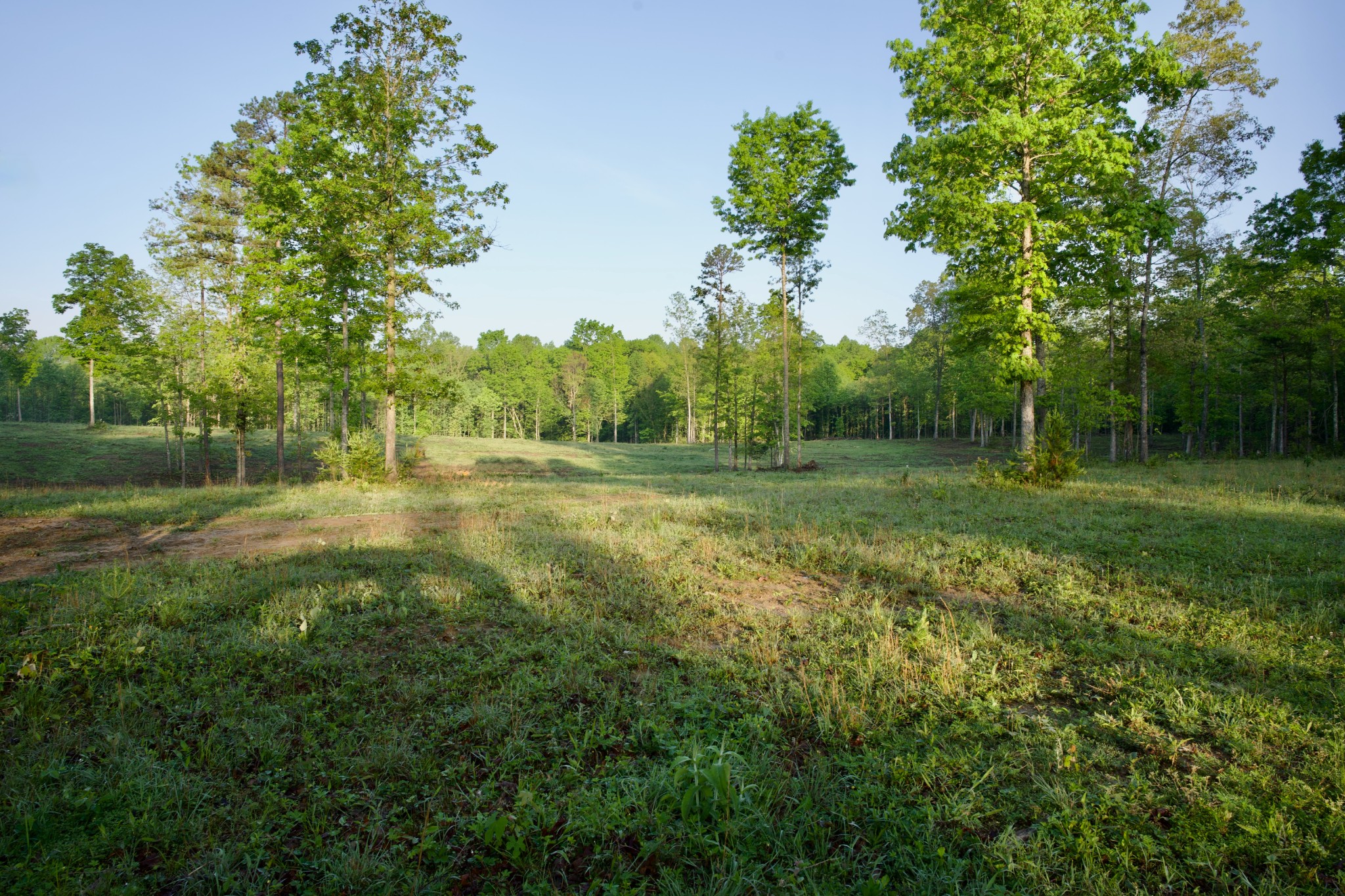 40a Barker Cove Loop Palmer TN 37365