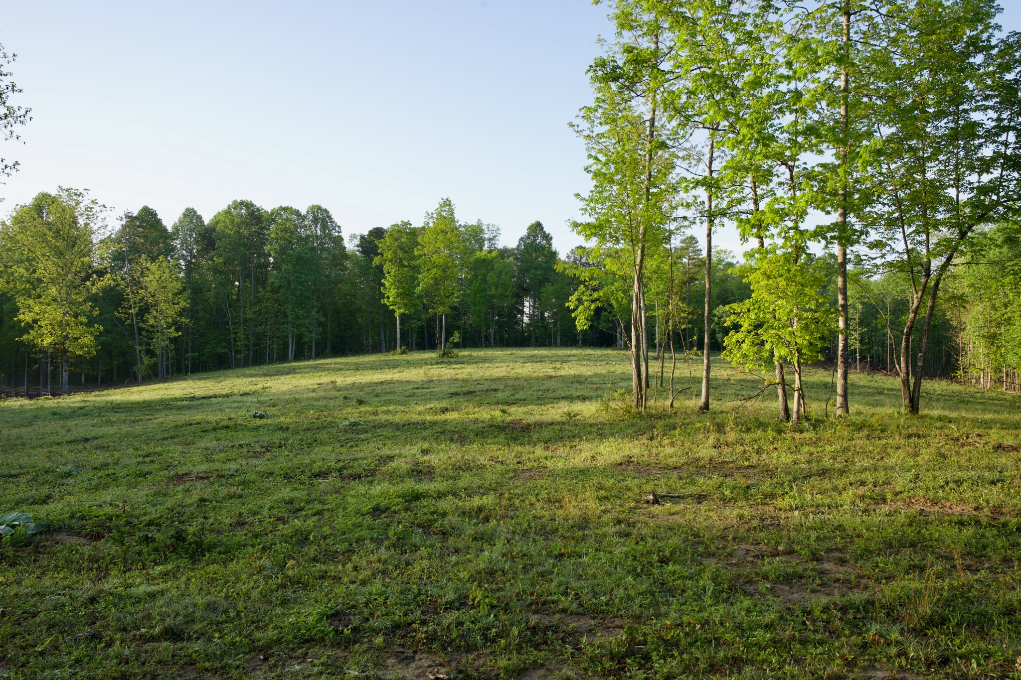 40a Barker Cove Loop Palmer TN 37365