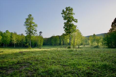 40a Barker Cove Loop Palmer TN 37365