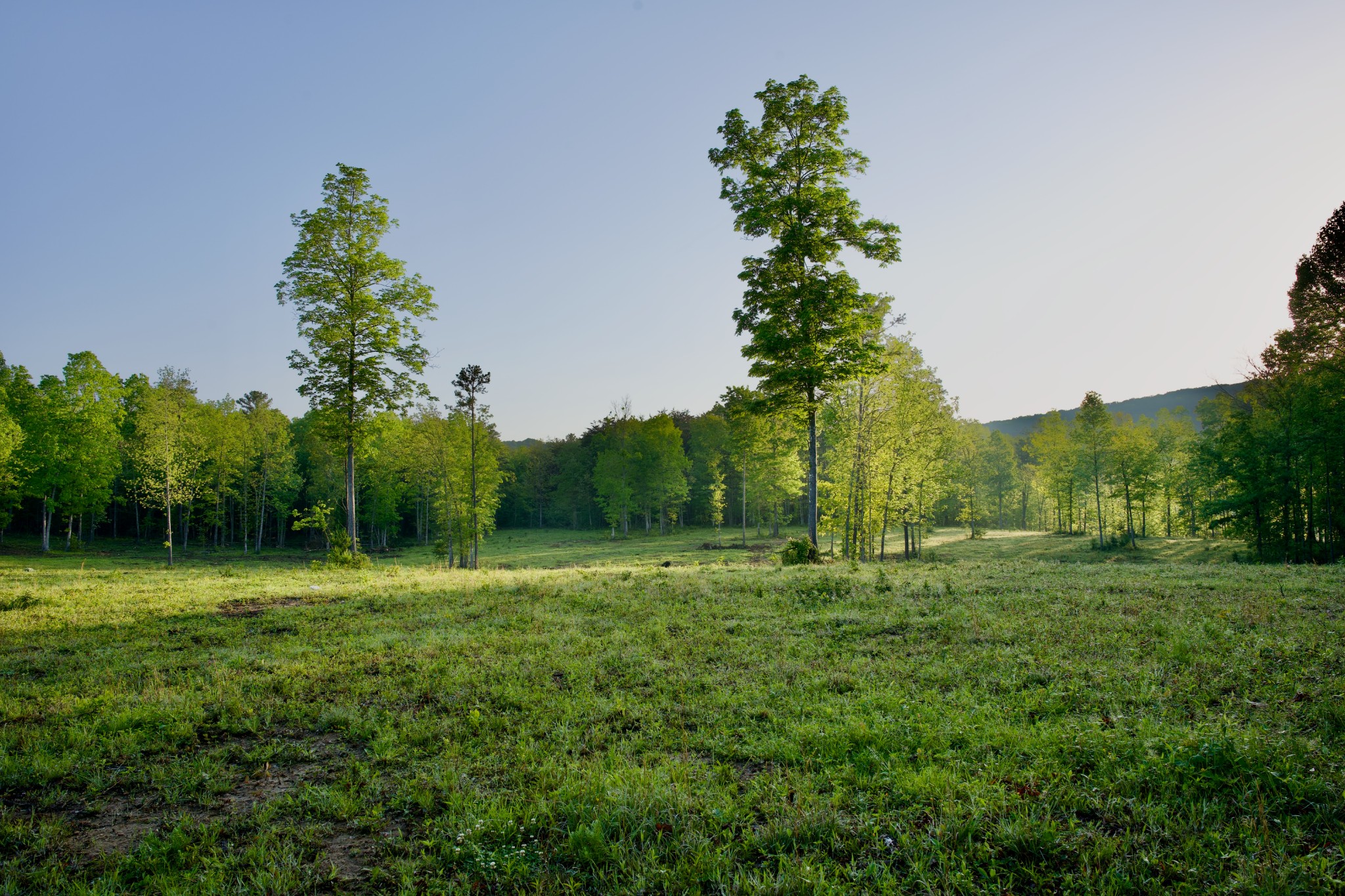 40a Barker Cove Loop Palmer TN 37365