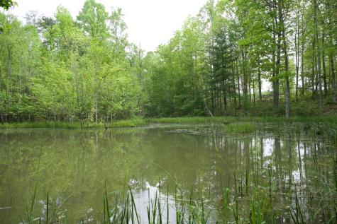 40a Barker Cove Loop Palmer TN 37365