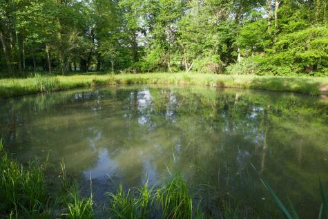 40a Barker Cove Loop Palmer TN 37365