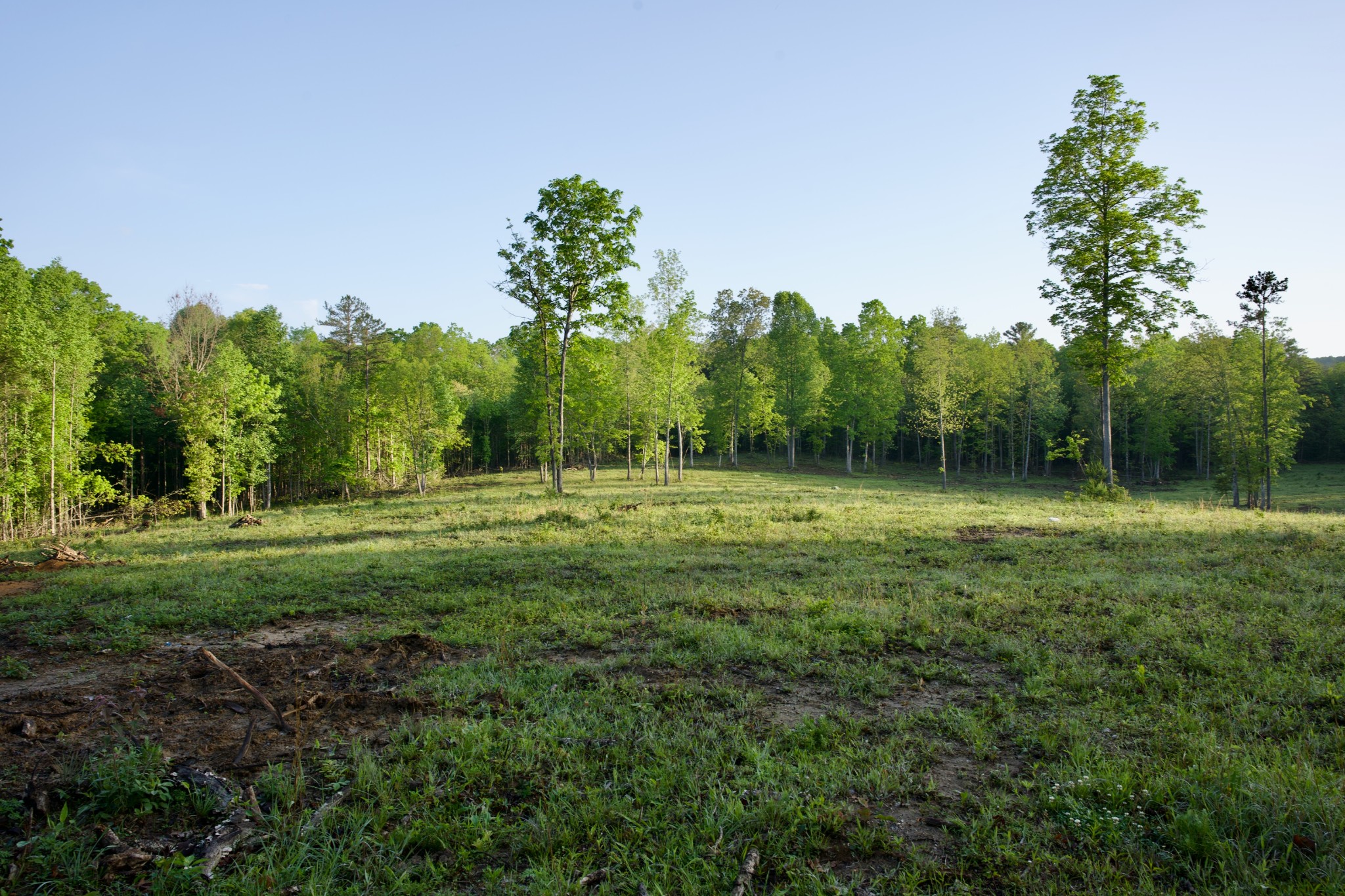 40a Barker Cove Loop Palmer TN 37365