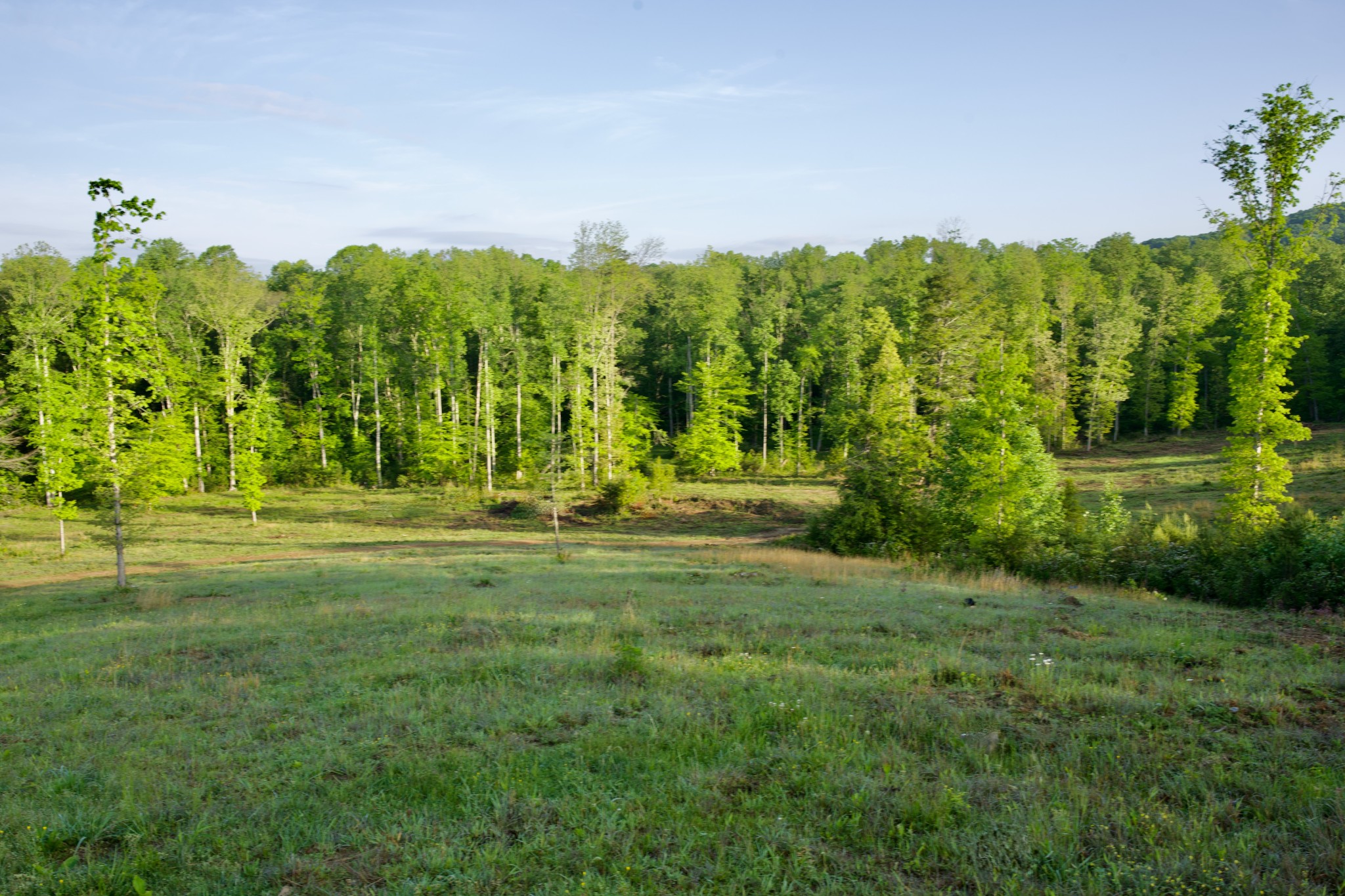 40a Barker Cove Loop Palmer TN 37365