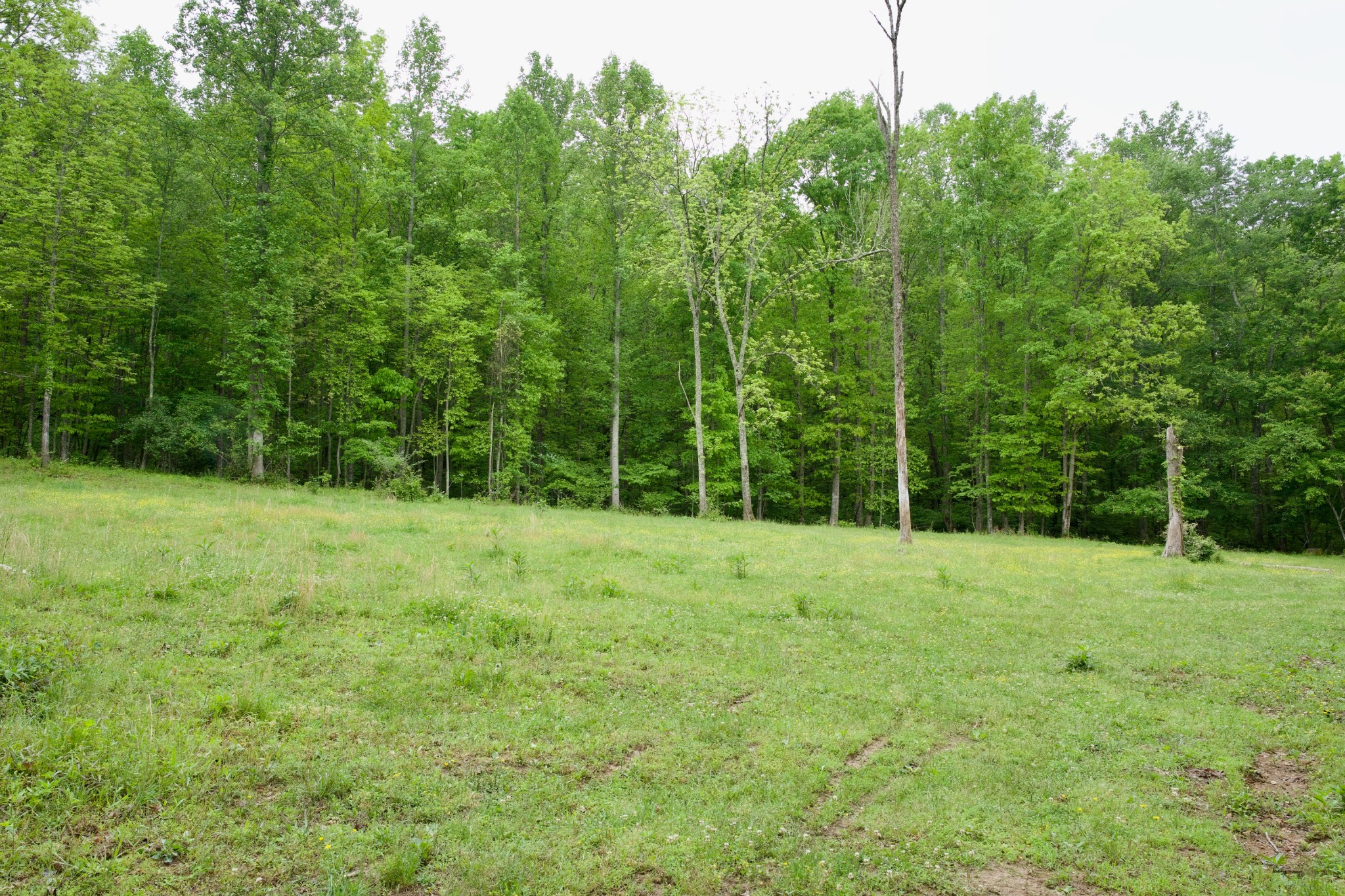 40a Barker Cove Loop Palmer TN 37365