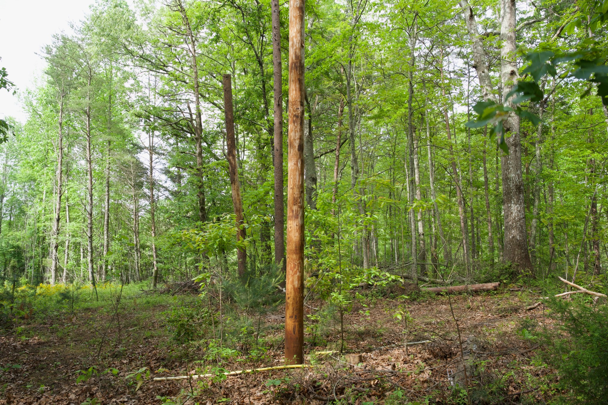 40a Barker Cove Loop Palmer TN 37365