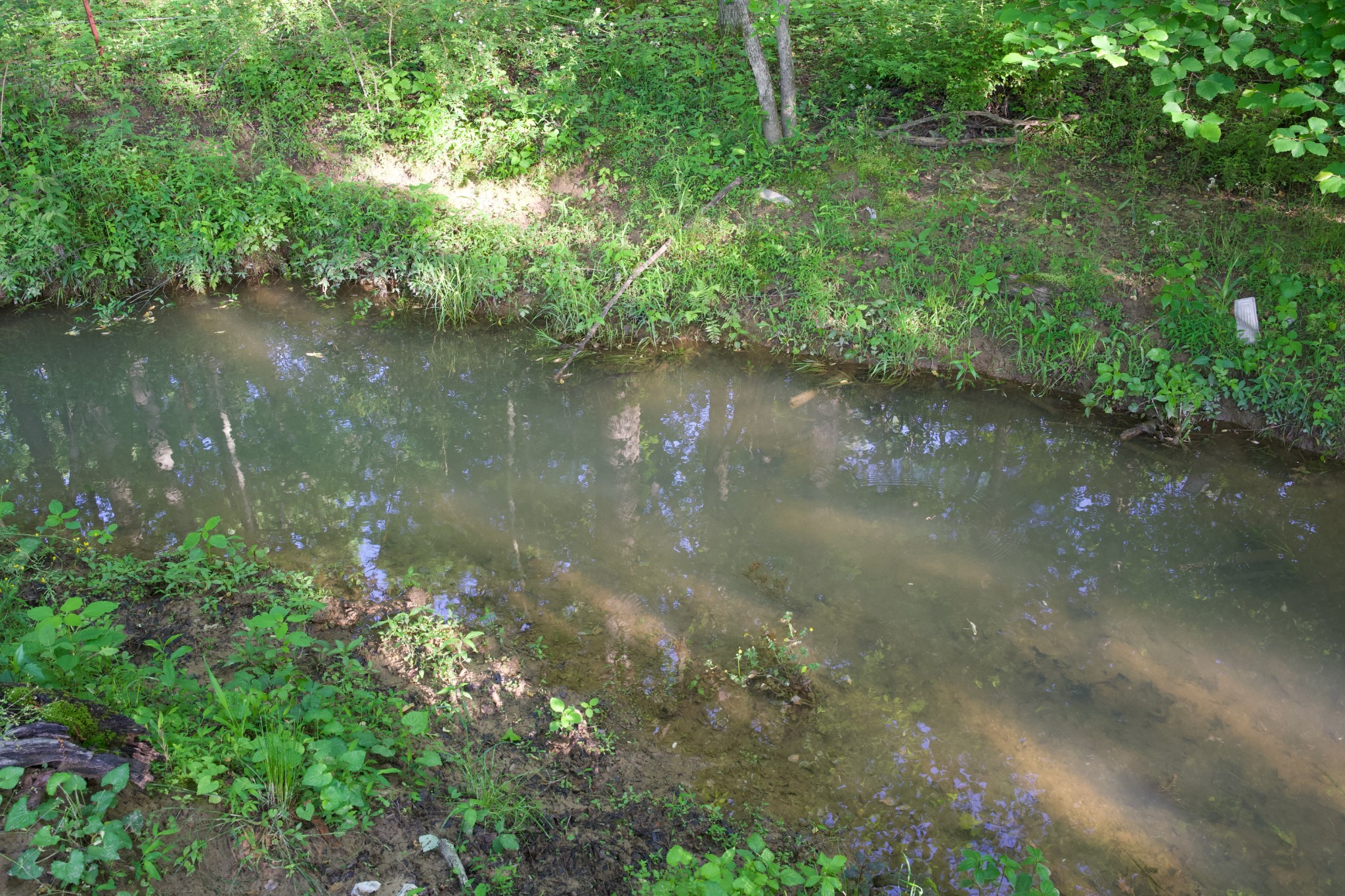 40a Barker Cove Loop Palmer TN 37365