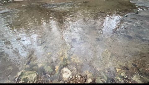 0 Boatman Road Cookeville TN 38506
