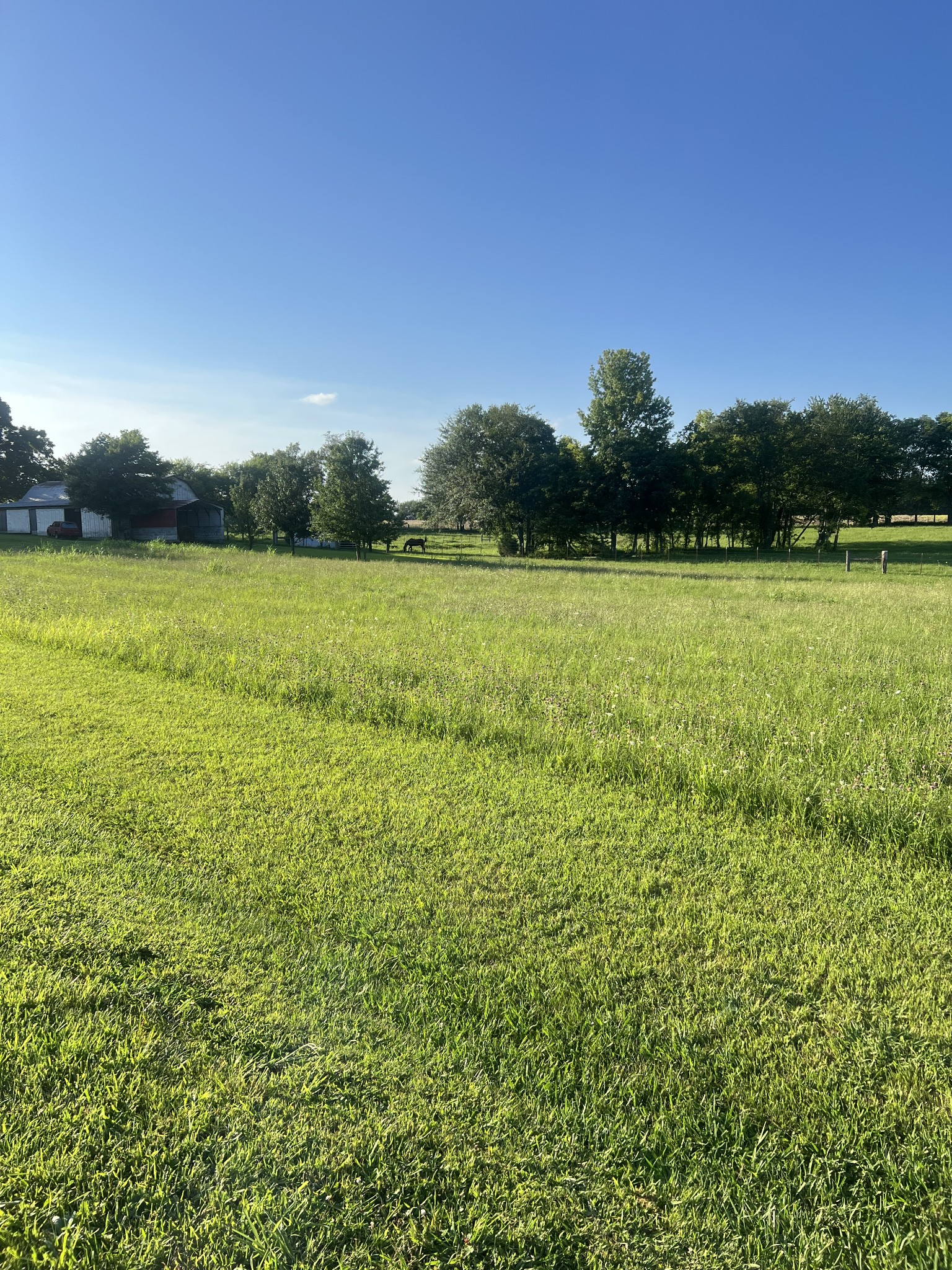 566 Clarence Finney Road Hillsboro TN 37342
