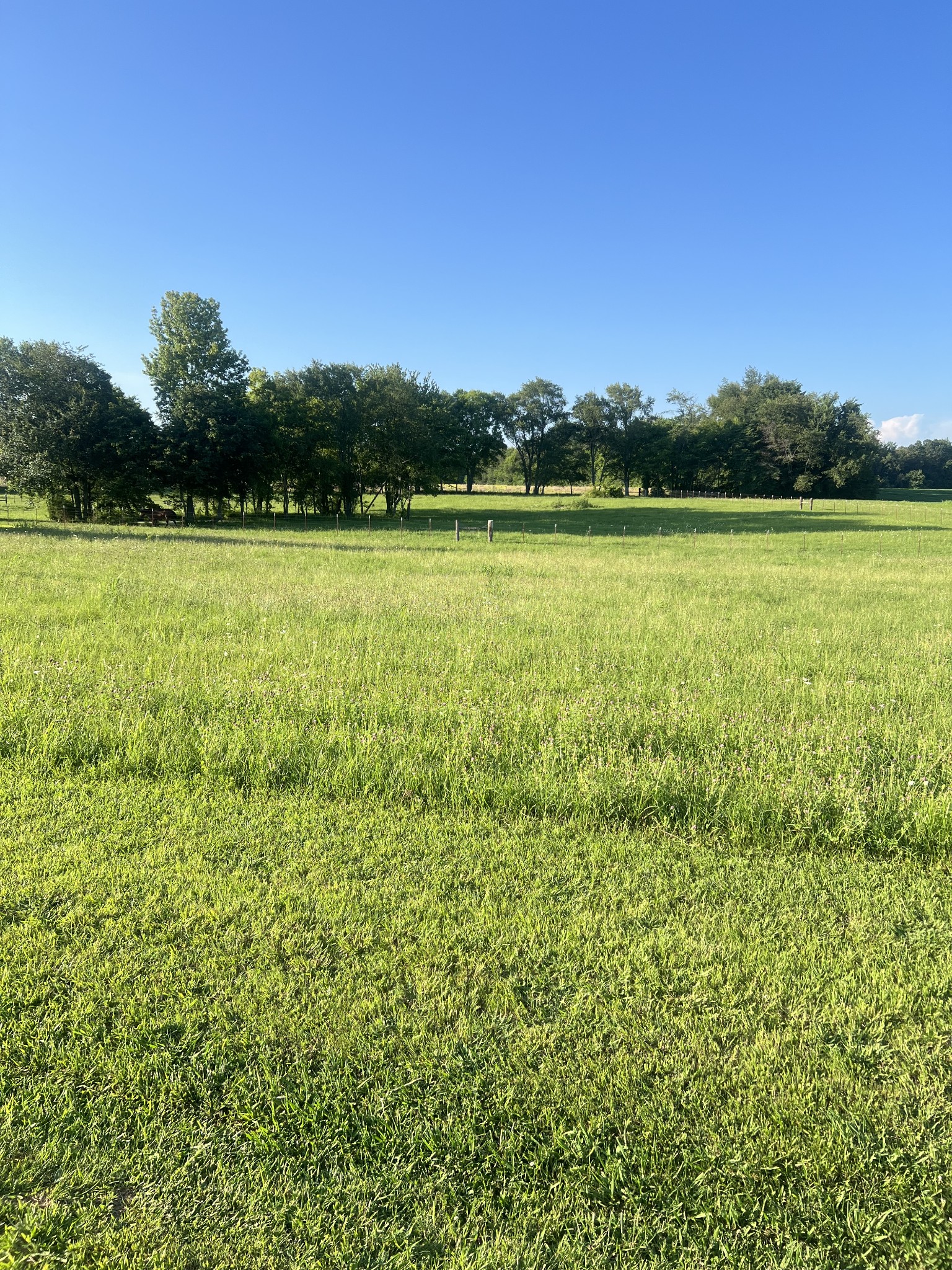 566 Clarence Finney Road Hillsboro TN 37342