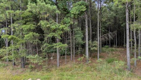 4430 Crockett Point Jasper TN 37347