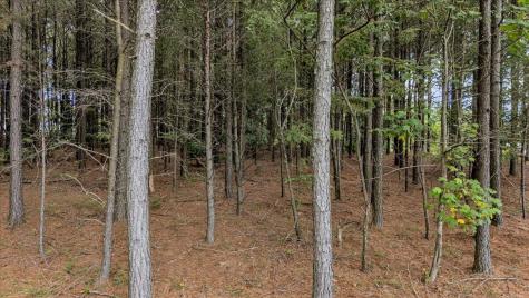 4430 Crockett Point Jasper TN 37347