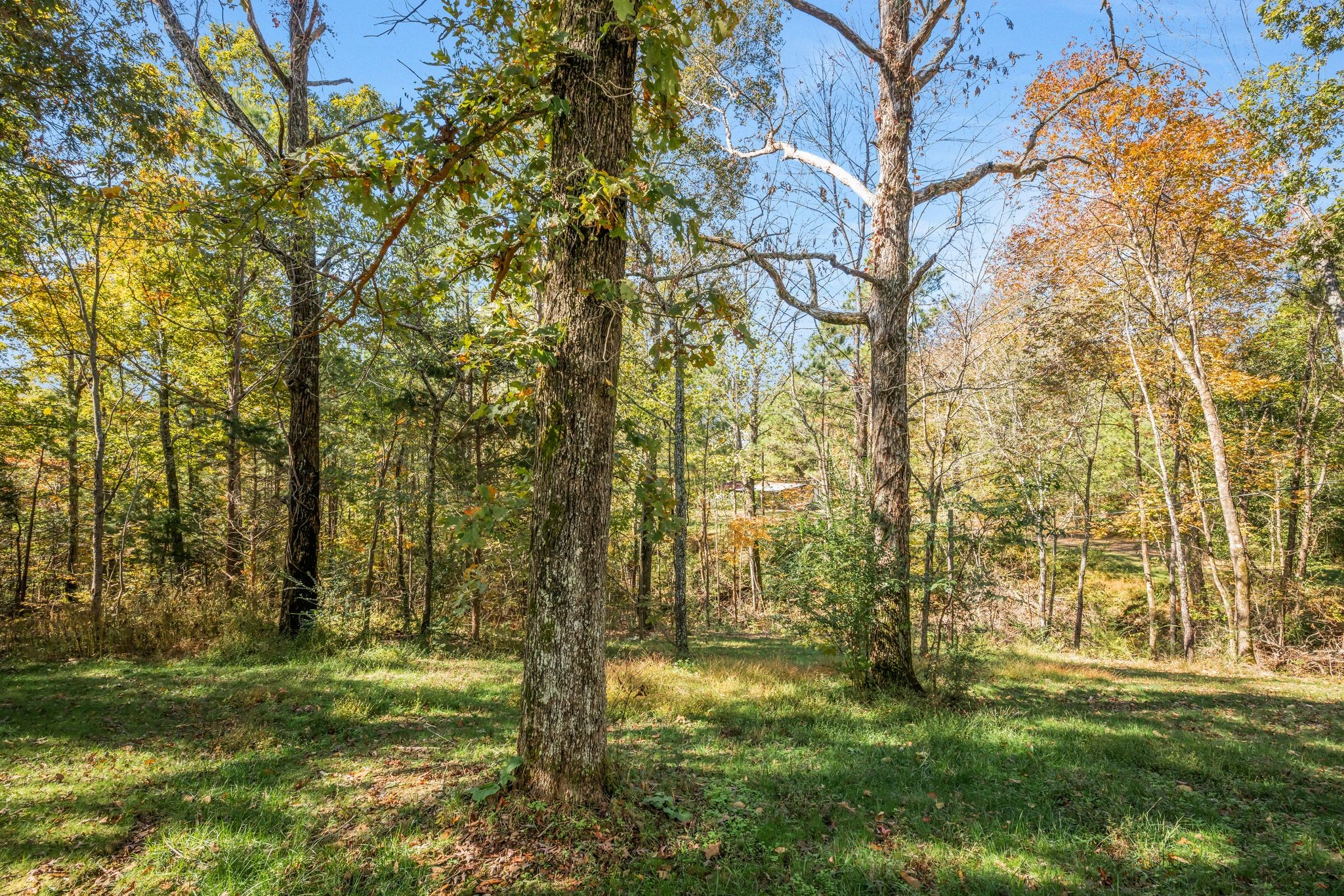 1865 Clydeton Road Waverly TN 37185