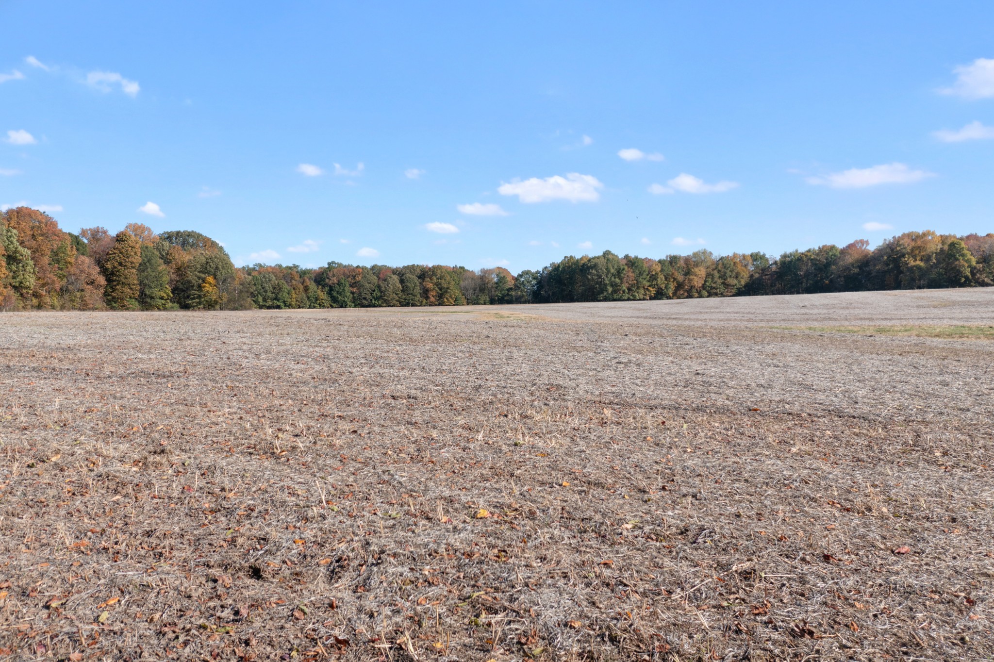 0 Highway 431, N Springfield TN 37172