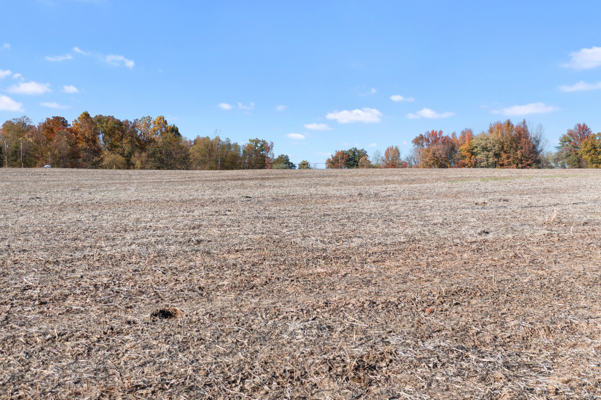 0 Highway 431, N Springfield TN 37172