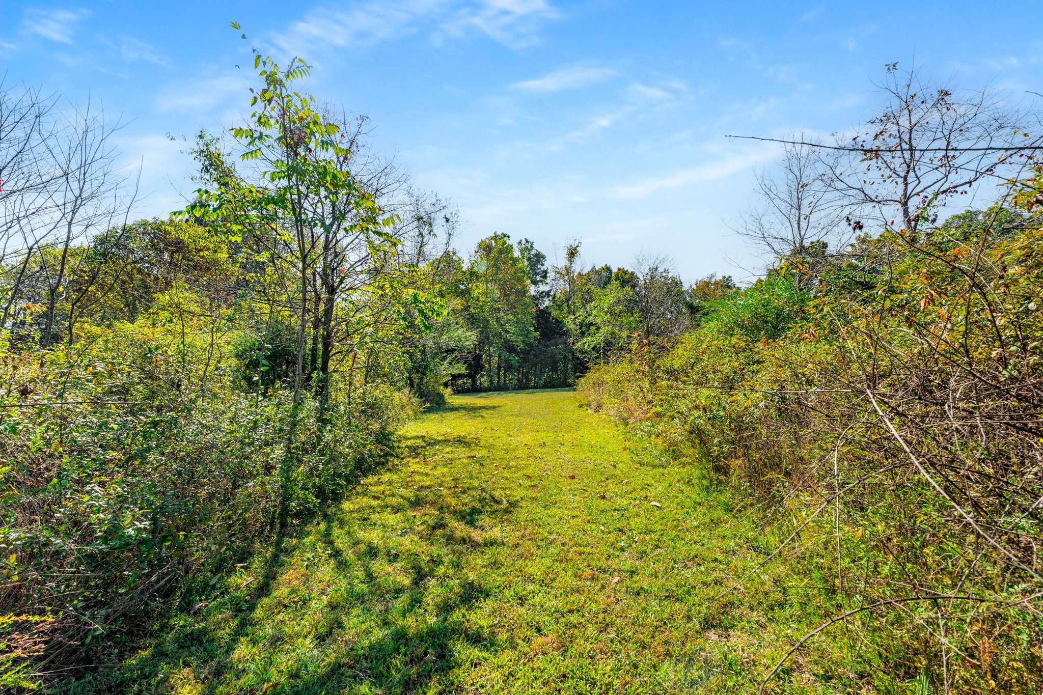 1257 Harris Hollow Road Charlotte TN 37036