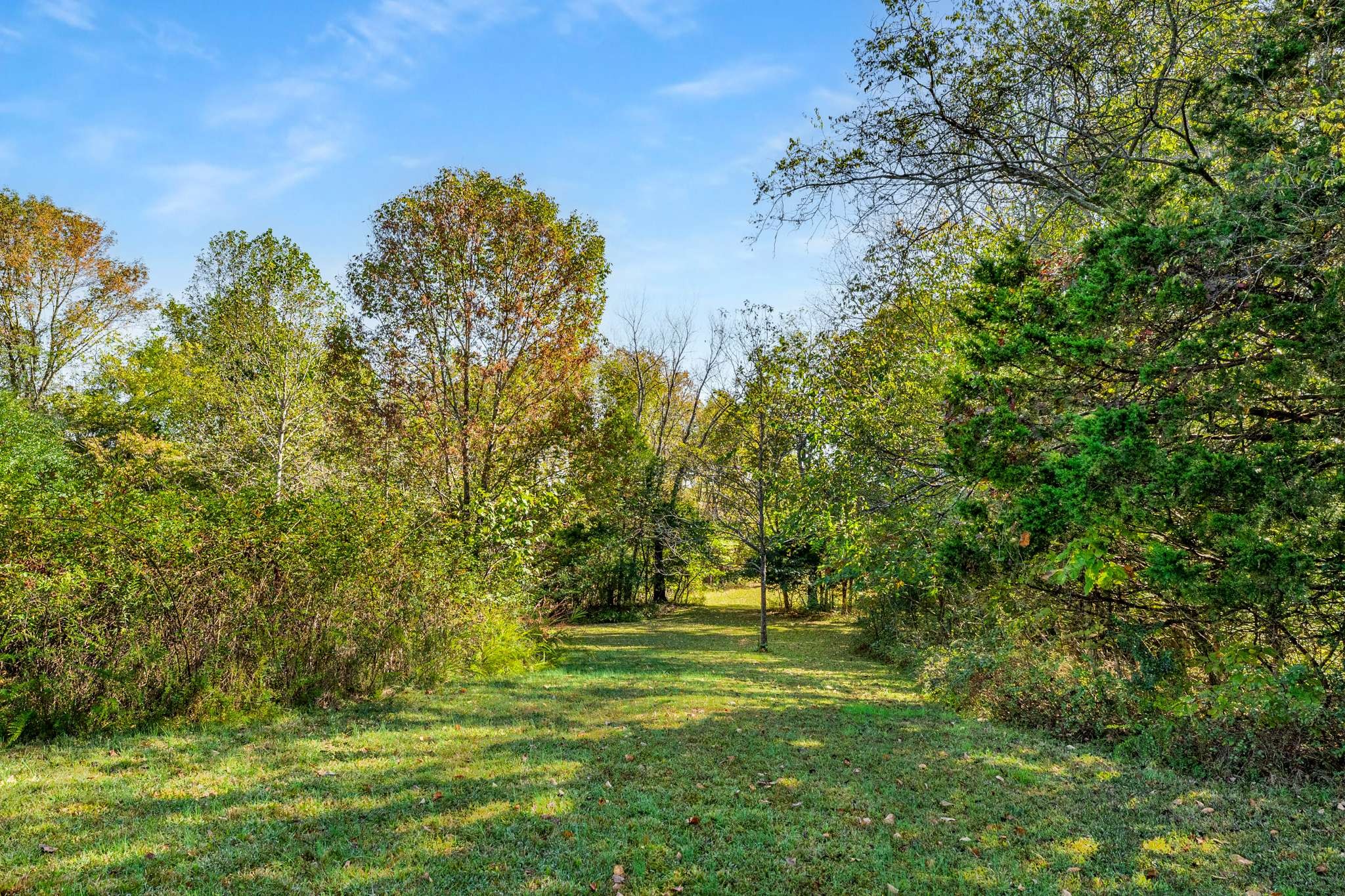 1257 Harris Hollow Road Charlotte TN 37036