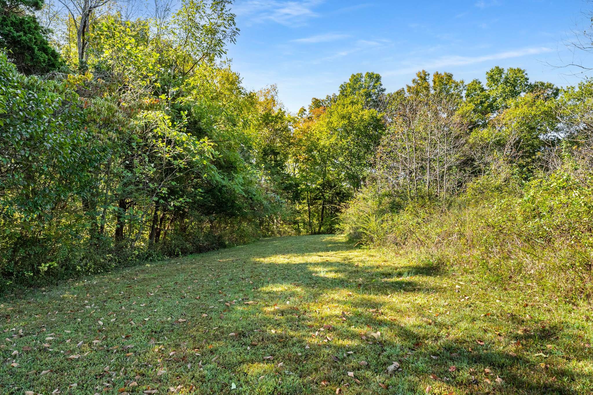 1257 Harris Hollow Road Charlotte TN 37036