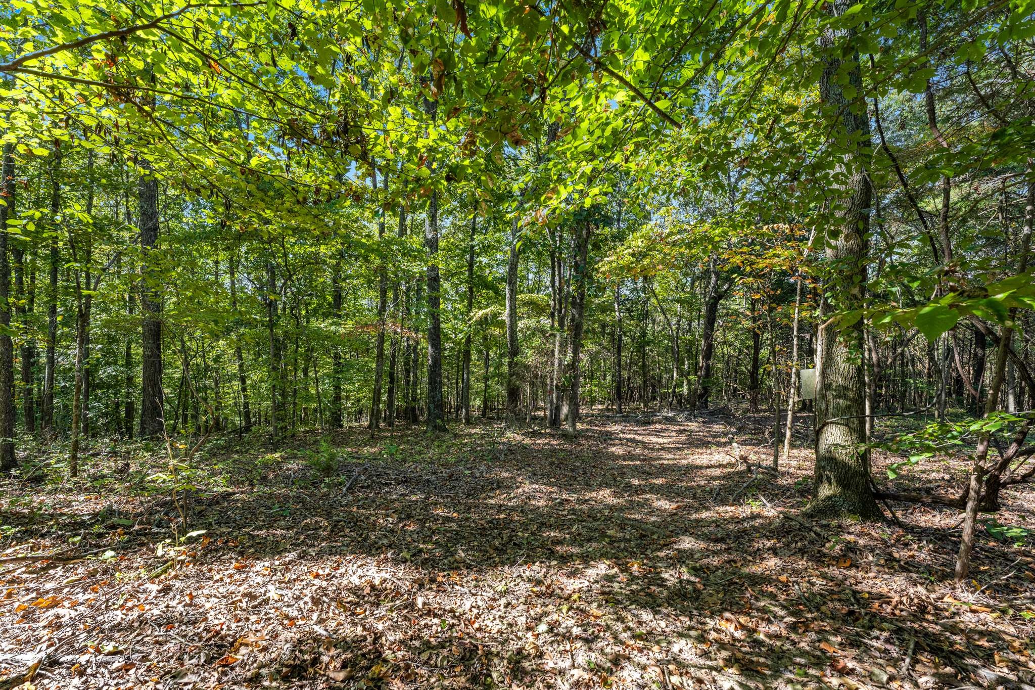 1257 Harris Hollow Road Charlotte TN 37036
