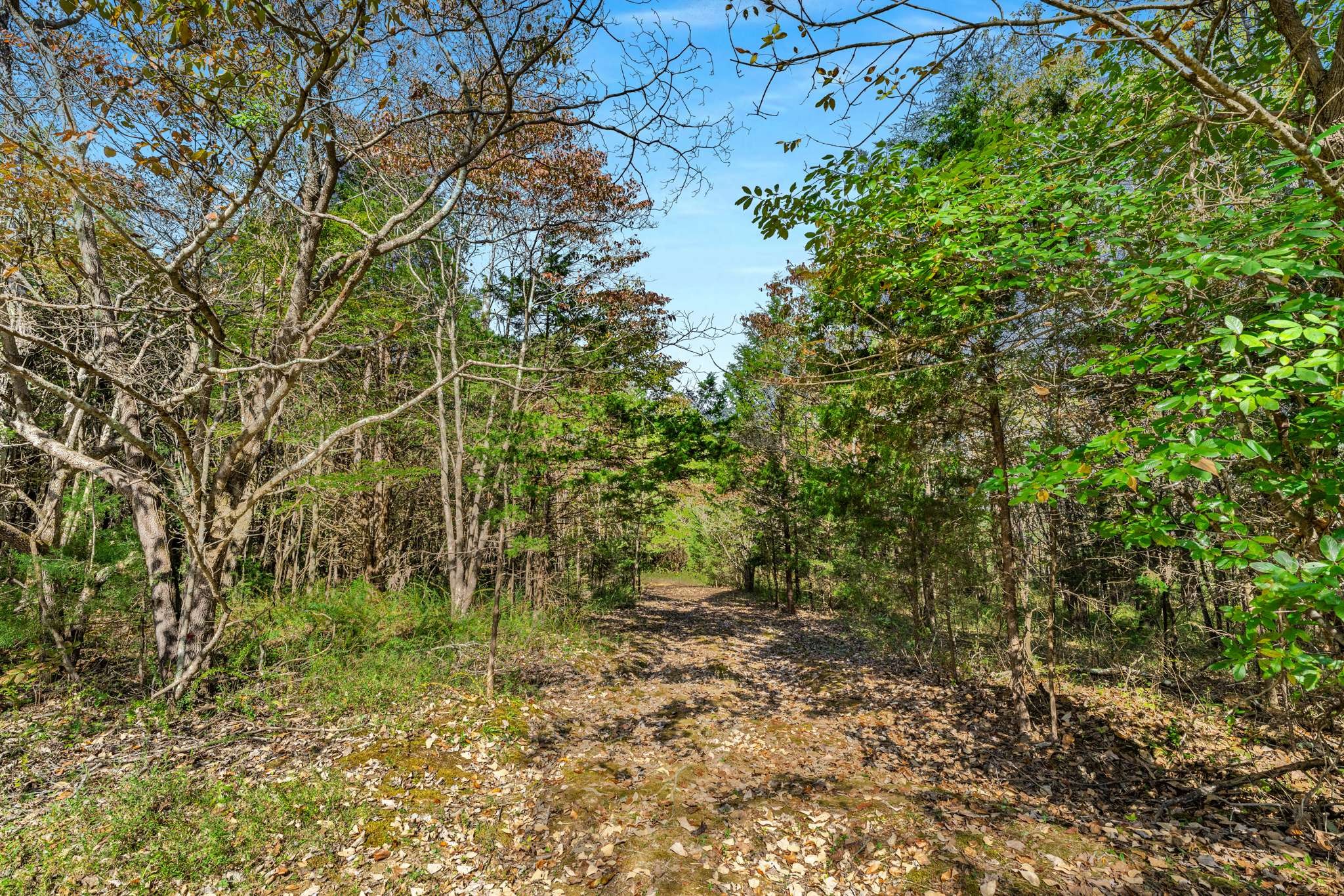 1257 Harris Hollow Road Charlotte TN 37036