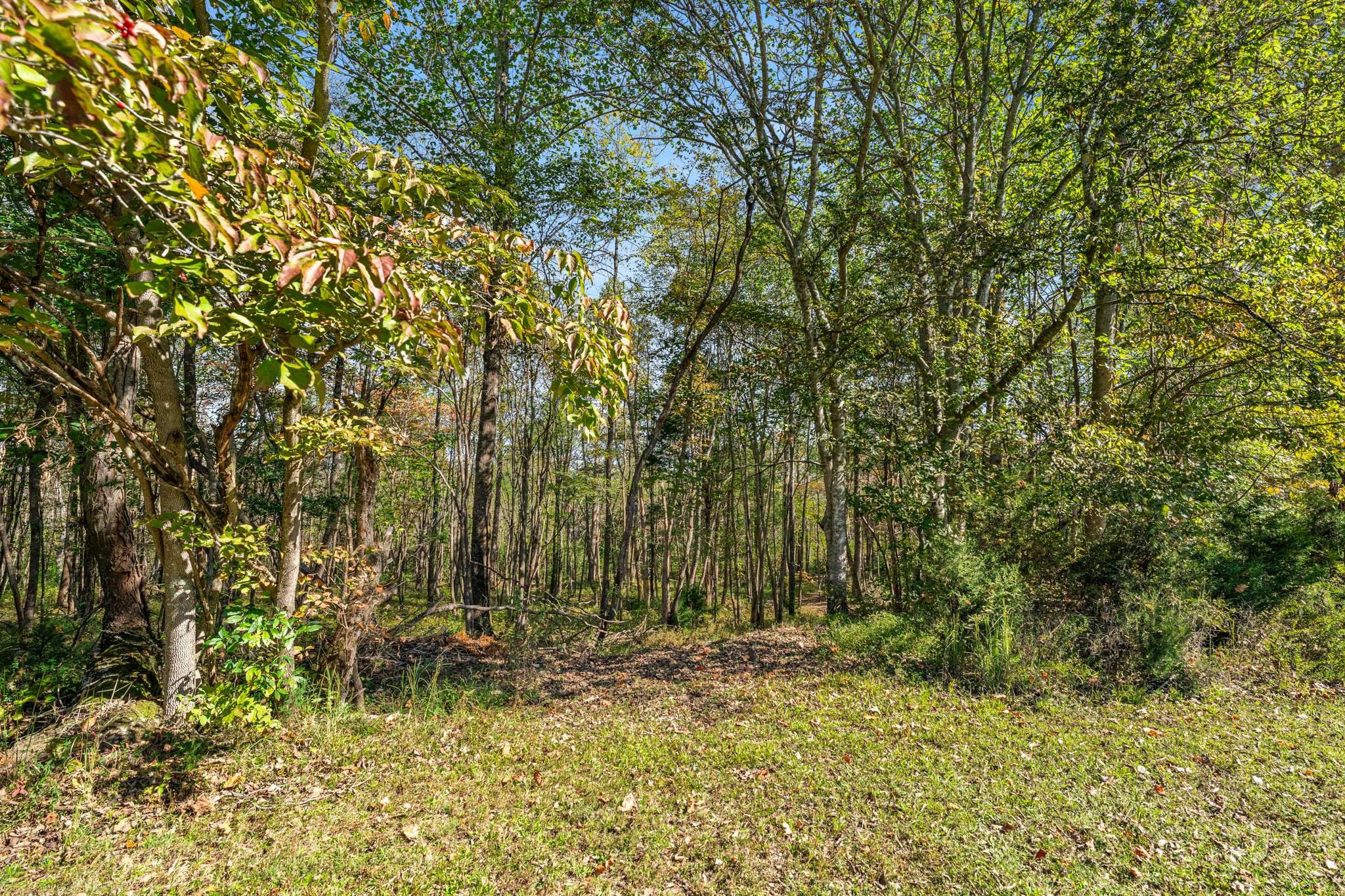 1257 Harris Hollow Road Charlotte TN 37036