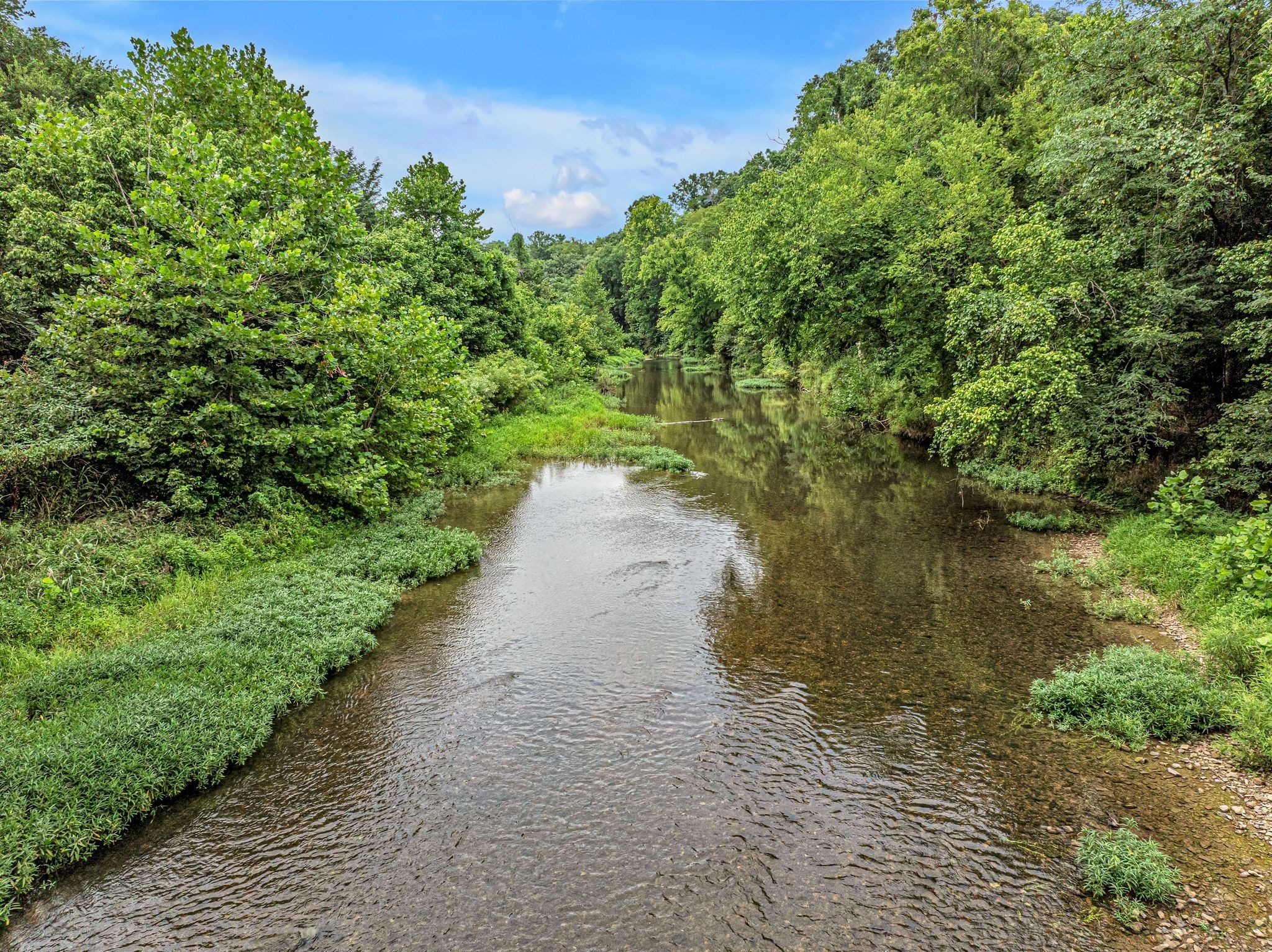 1259 Petty Road White Bluff TN 37187