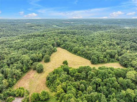 1259 Petty Road White Bluff TN 37187
