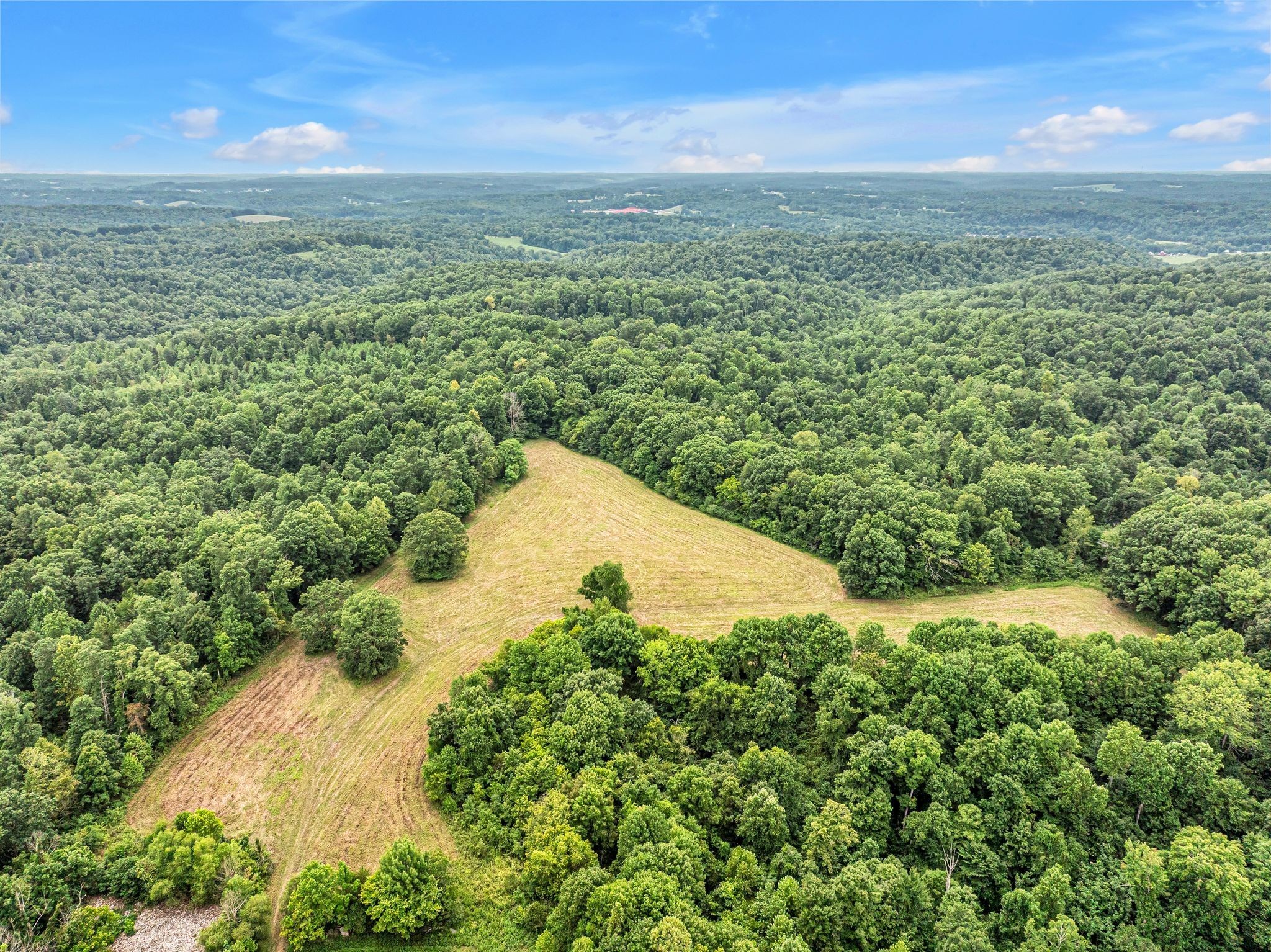 1259 Petty Road White Bluff TN 37187