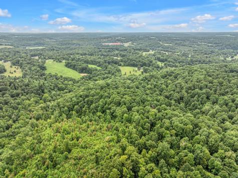 1259 Petty Road White Bluff TN 37187