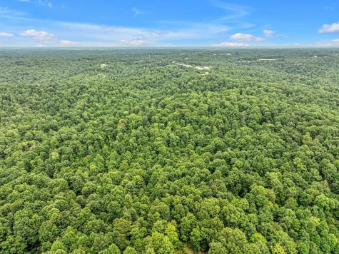 1259 Petty Road White Bluff TN 37187
