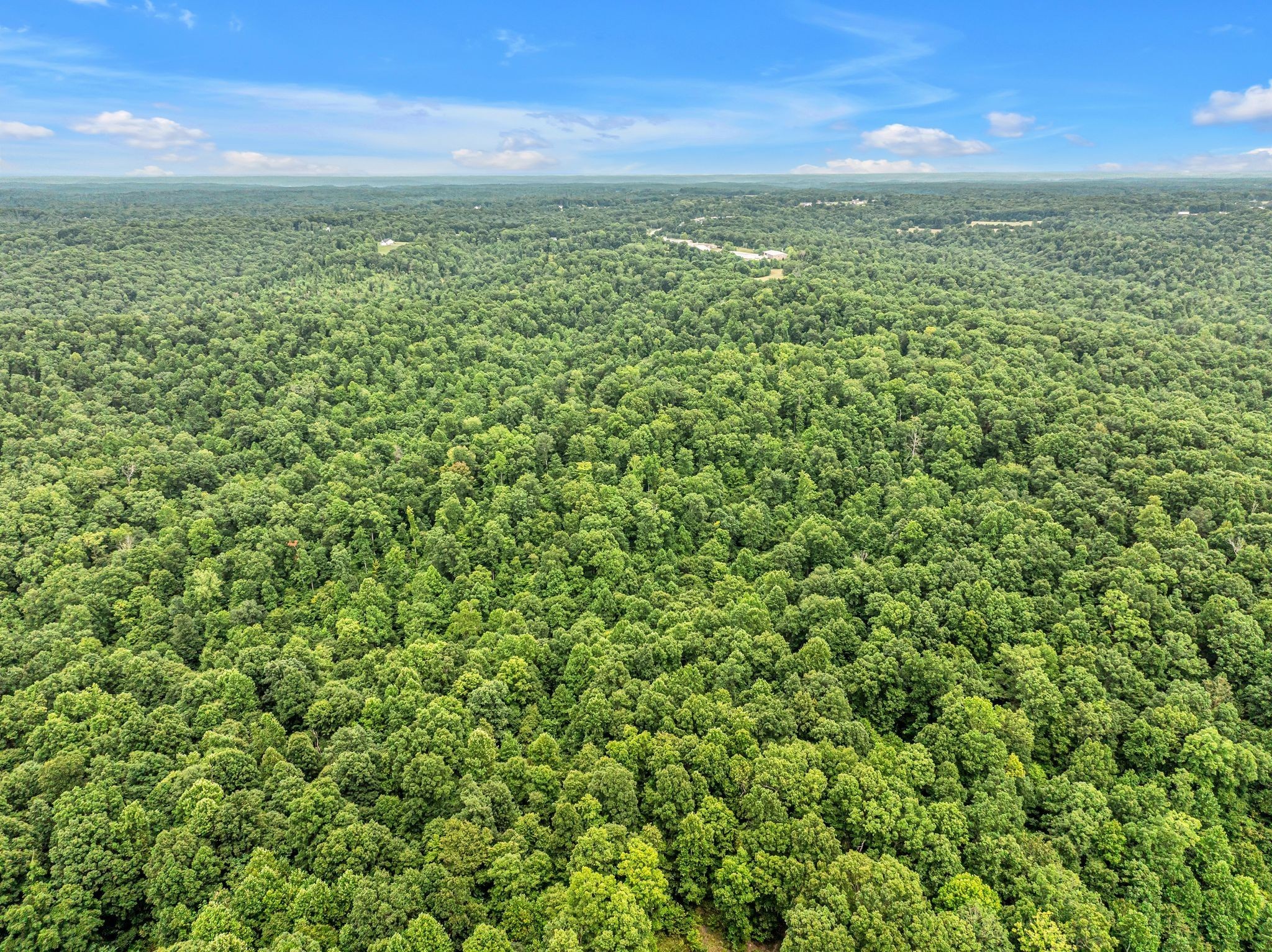 1259 Petty Road White Bluff TN 37187