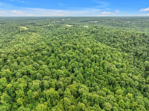 1259 Petty Road White Bluff TN 37187