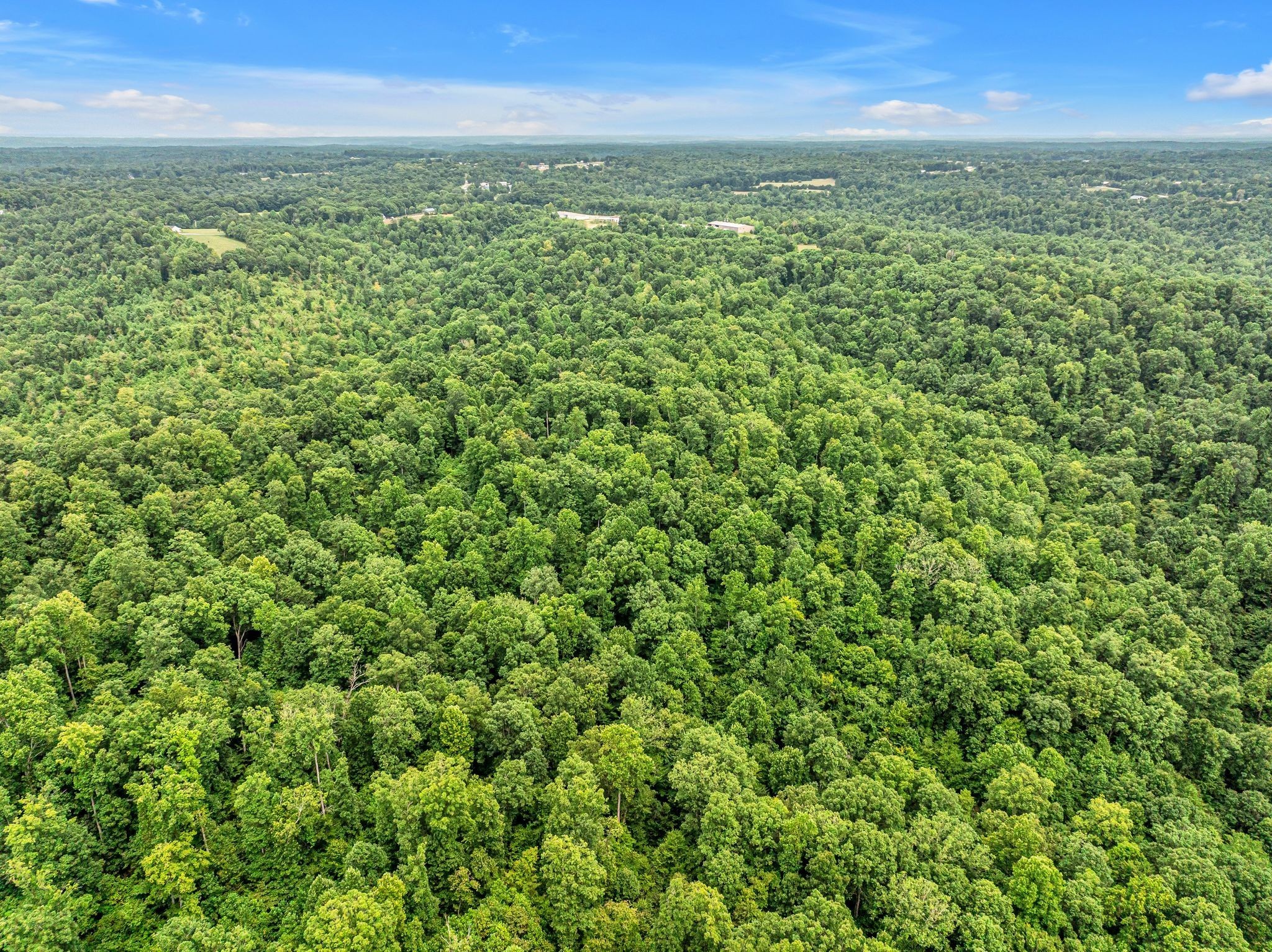 1259 Petty Road White Bluff TN 37187
