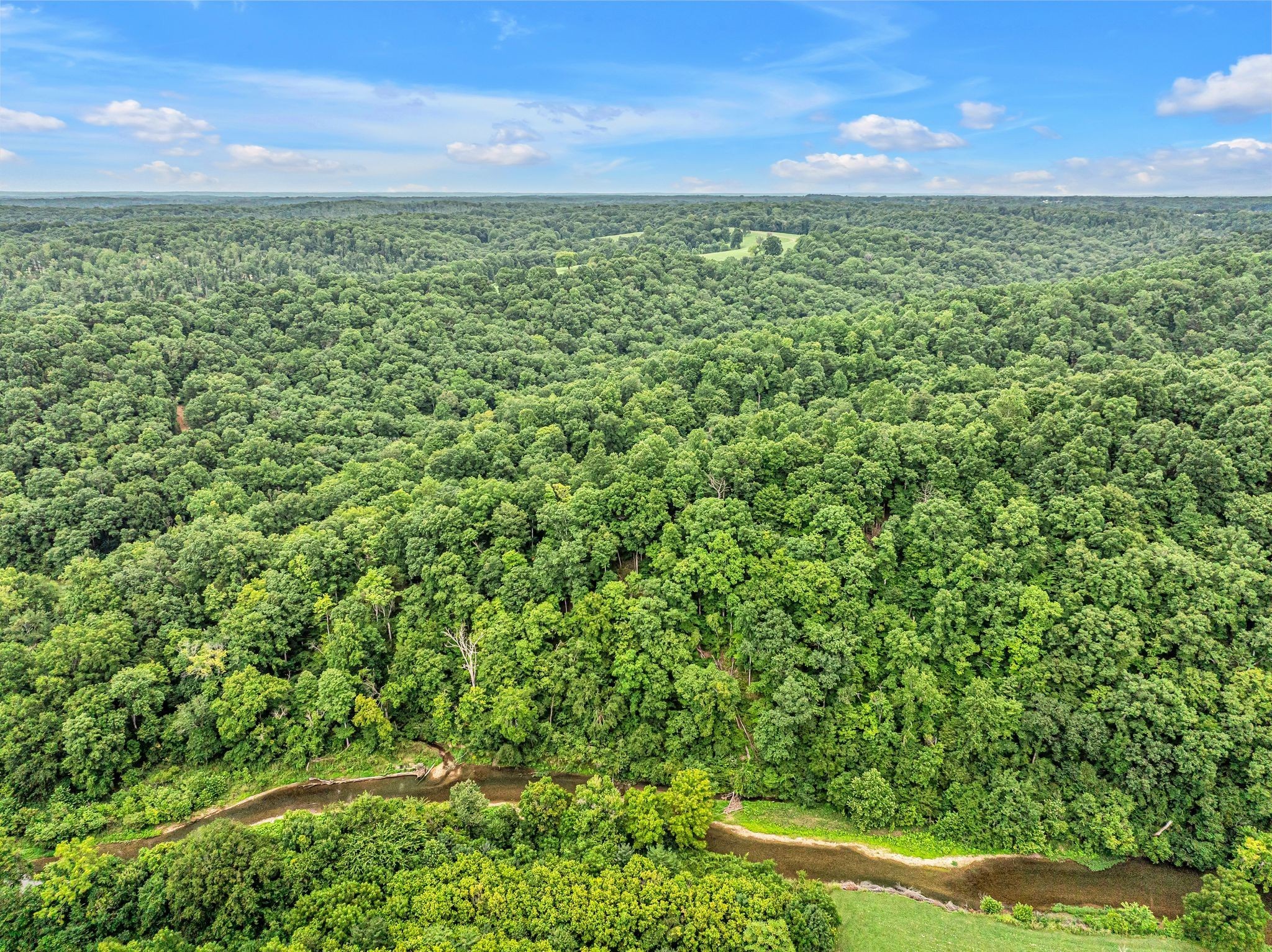 1259 Petty Road White Bluff TN 37187