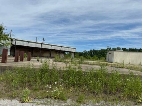 1259 Petty Road White Bluff TN 37187