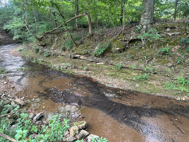 2143 Blue Springs Road Ashland City TN 37015