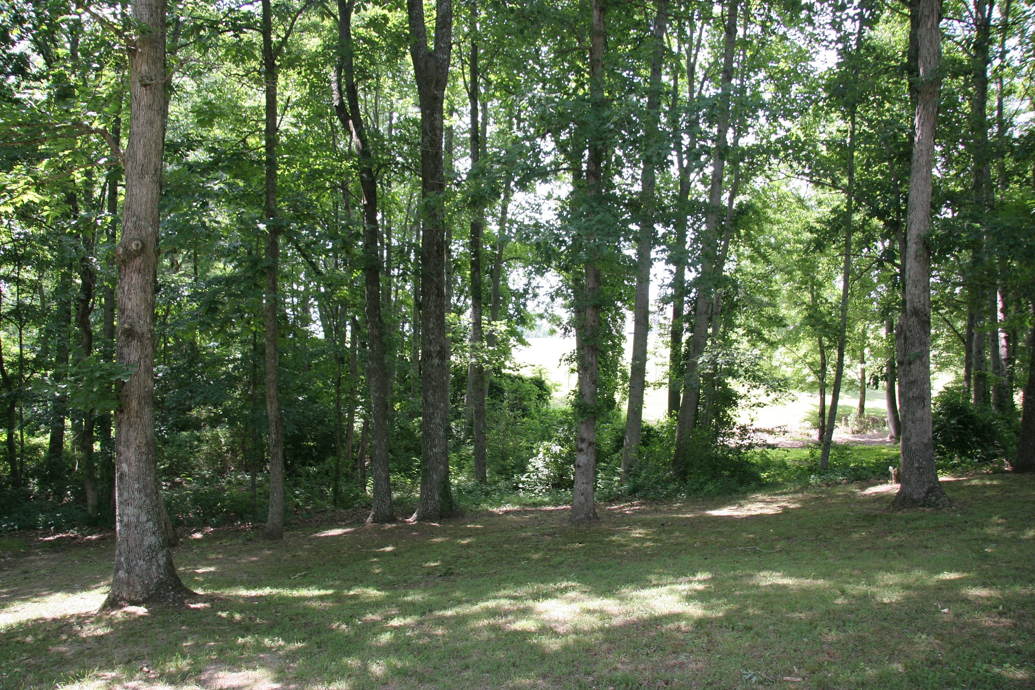 176 Grace Hill Drive Crossville TN 38571