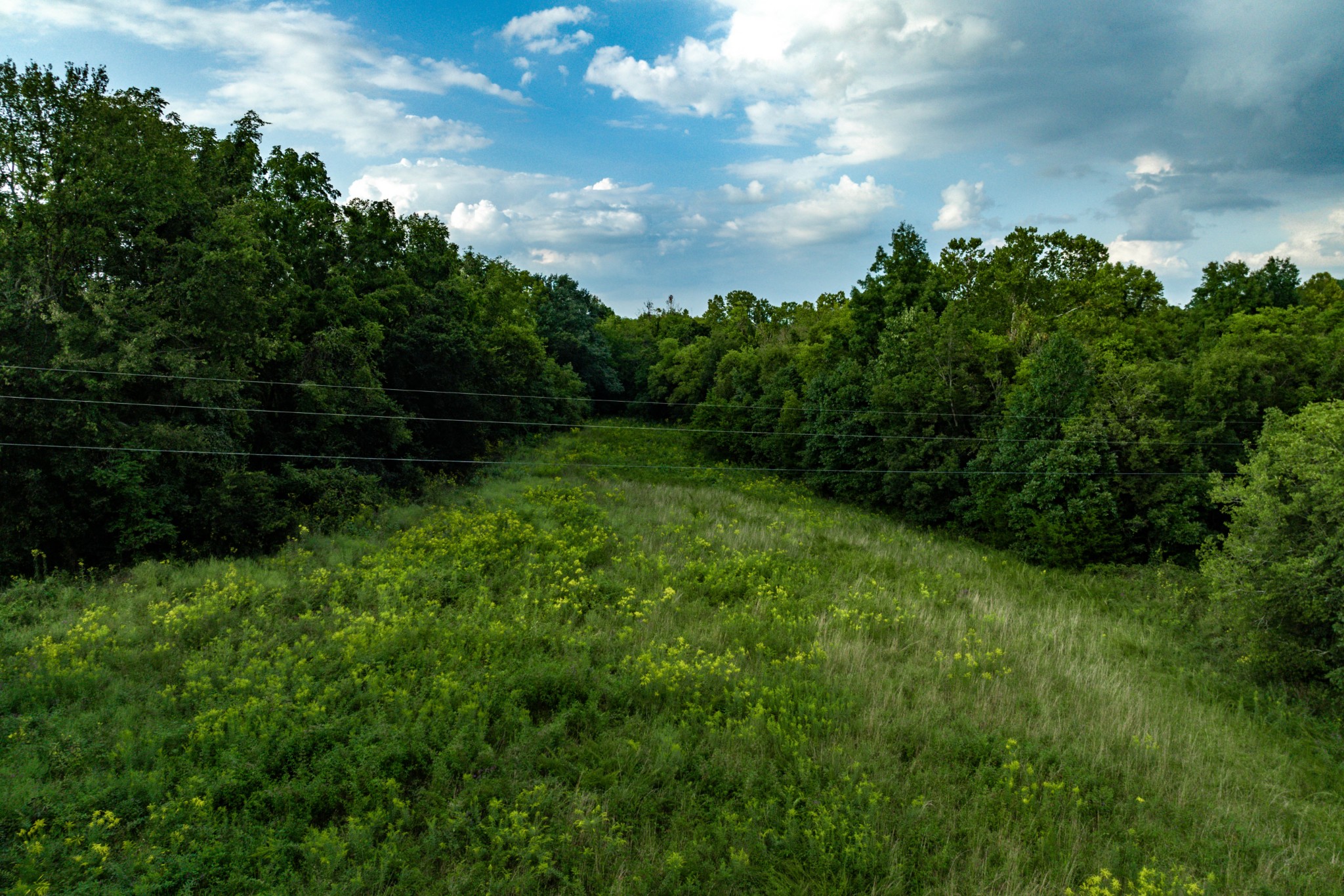4534 Long Lane Franklin TN 37064