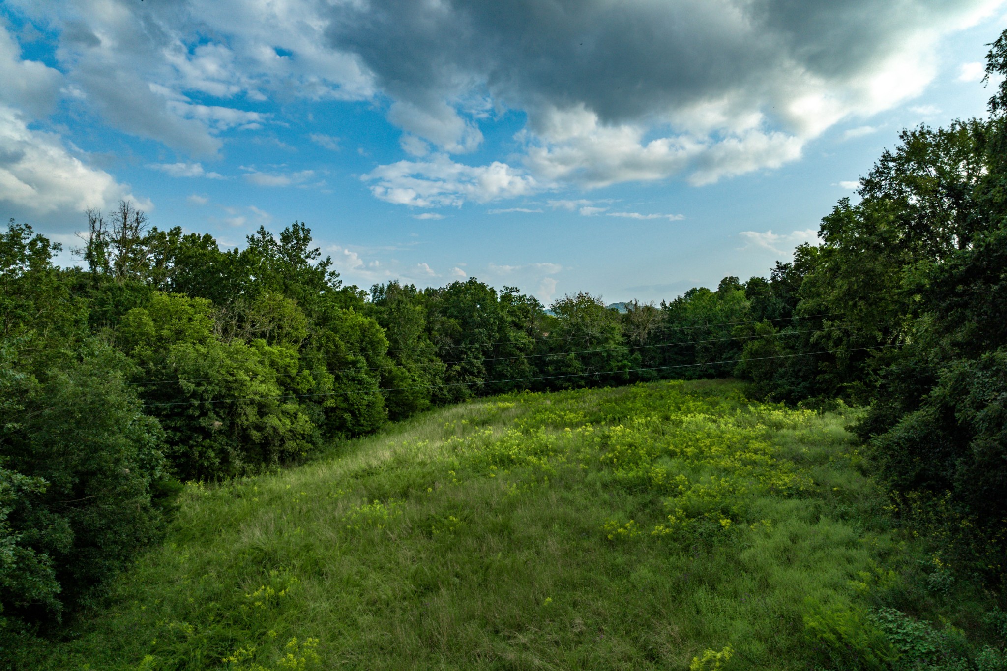 4534 Long Lane Franklin TN 37064