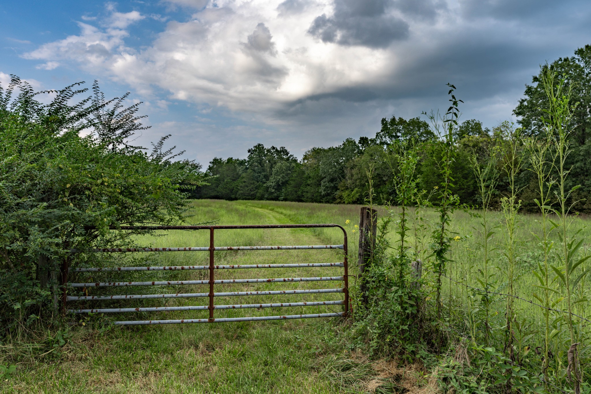 4534 Long Lane Franklin TN 37064