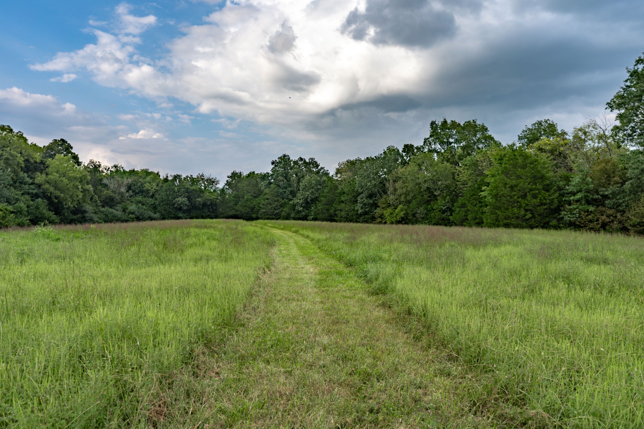 4534 Long Lane Franklin TN 37064
