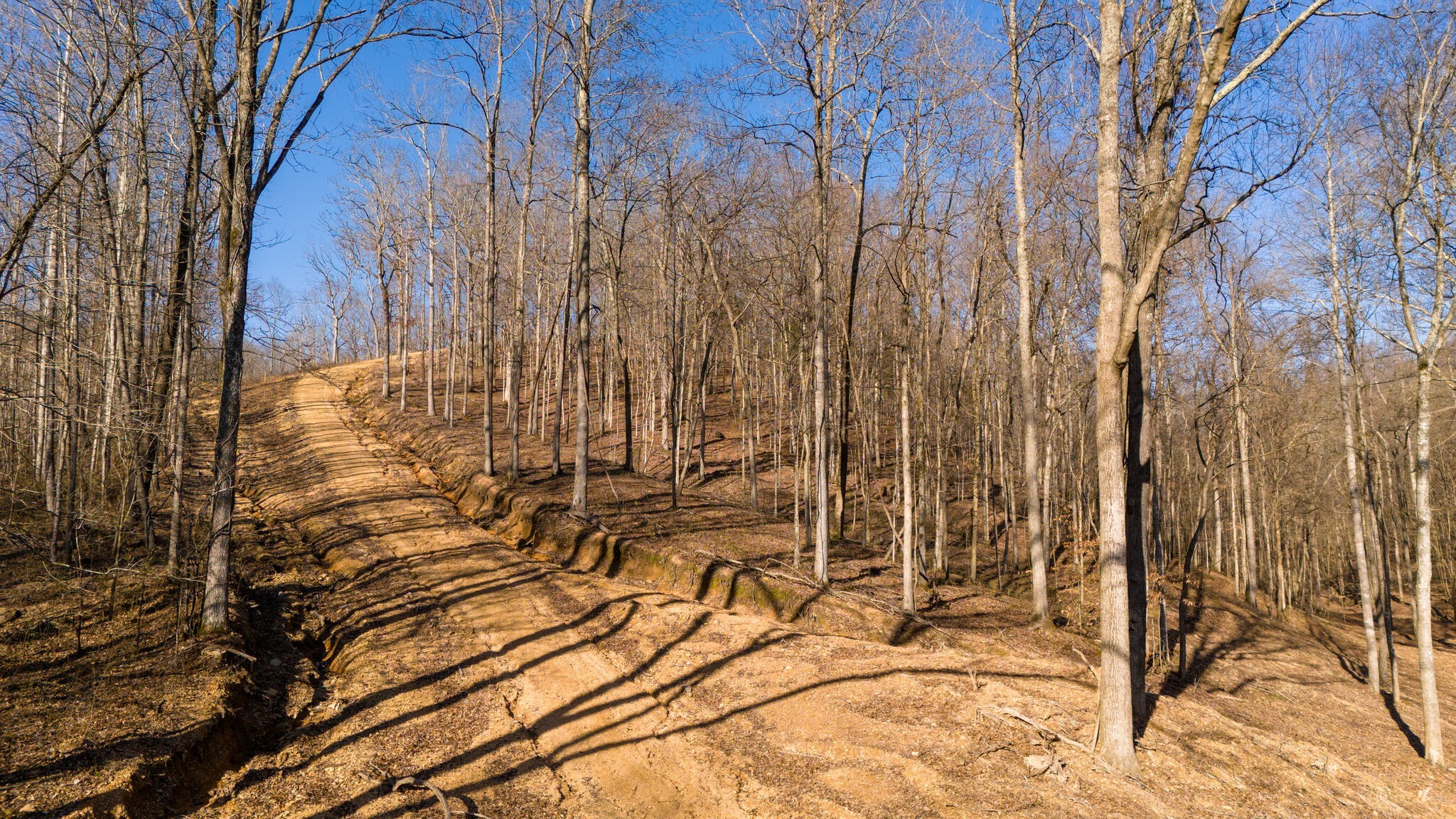 0 Bull Run Road Ashland City TN 37015