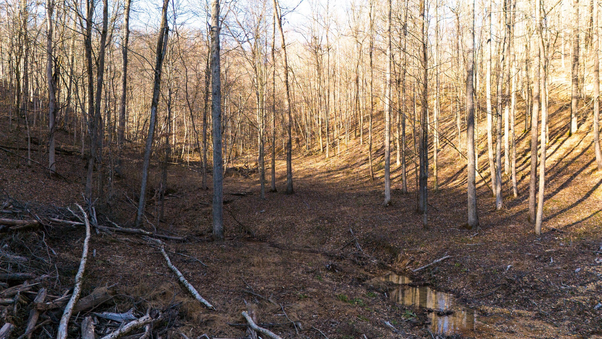 0 Bull Run Road Ashland City TN 37015